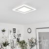 Audrieu Lámpara de Techo LED Blanca, 2 luces