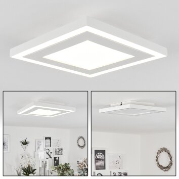 Audrieu Lámpara de Techo LED Blanca, 2 luces