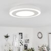Audrieu Lámpara de Techo LED Blanca, 2 luces
