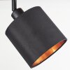 Alsen Lámpara de Techo Madera oscura, Negro, 2 luces