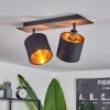 Alsen Lámpara de Techo Madera oscura, Negro, 2 luces