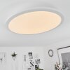 Sani Lámpara de Techo LED Blanca, 1 luz, Mando a distancia, Cambia de color