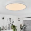 Sani Lámpara de Techo LED Blanca, 1 luz, Mando a distancia, Cambia de color