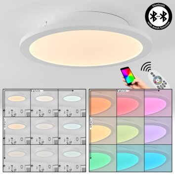 Sani Lámpara de Techo LED Blanca, 1 luz, Mando a distancia, Cambia de color