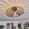 Oravi Lámpara de Techo Negro, 1 luz