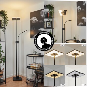 Janze Lámpara de Pie LED Negro, 2 luces