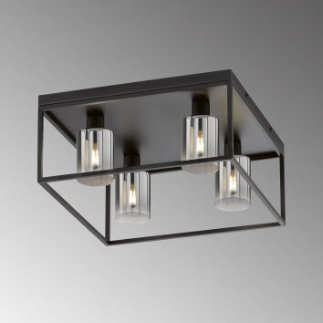 Fischer & Honsel Iska Lámpara de Techo Negro, 4 luces