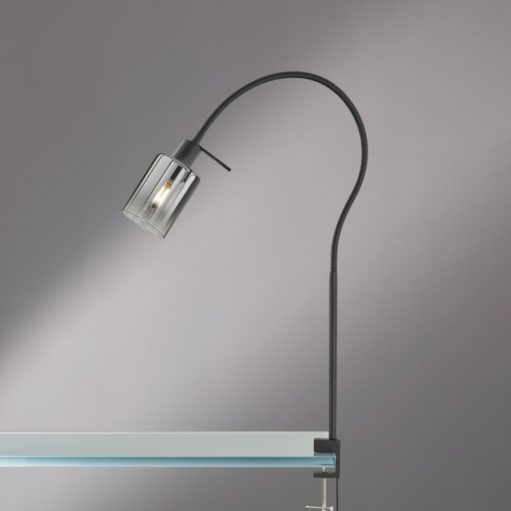 Fischer & Honsel Iska Lámpara con pinza Negro, 1 luz main product photo