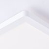 Brilliant Milton Lámpara de Techo LED Blanca, 1 luz
