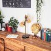 Alden Lámpara de mesa LED Colores ámbar, champán, 4 luces