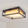 Nonza Lámpara de techo para exterior LED Antracita, 1 luz
