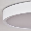 Pontchardon Lámpara de Techo LED Blanca, 1 luz