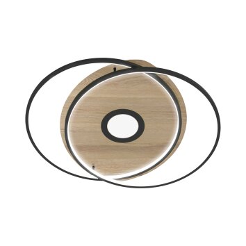Paul Neuhaus Q-AMIRA Lámpara de Techo LED Madera clara, 1 luz, Mando a distancia