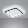 Fischer & Honsel Blithe Lámpara de Techo LED Negro, Blanca, 1 luz