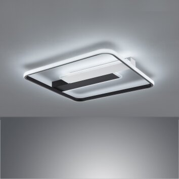 Fischer & Honsel Blithe Lámpara de Techo LED Negro, Blanca, 1 luz