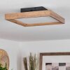 Longvic Lámpara de Techo LED Marrón, Color madera, Negro, 1 luz