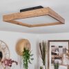 Longvic Lámpara de Techo LED Marrón, Color madera, Negro, 1 luz