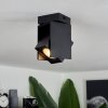 Prassinet Lámpara de Techo Negro, 1 luz