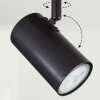 Arbrentin Lámpara de Techo Crudo, Negro, 3 luces