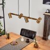 Zuoz Lámpara Colgante Latón antiguo, 4 luces