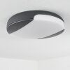 Joserand Lámpara de techo para exterior LED Antracita, 1 luz