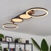 Avelal Lámpara de Techo LED Marrón, Color madera, Negro, 1 luz