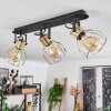 Bitterroot Lámpara de Techo Negro, 3 luces