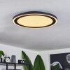 Audrieu Lámpara de Techo LED Negro, Blanca, 2 luces