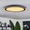 Audrieu Lámpara de Techo LED Negro, Blanca, 2 luces