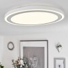 Audrieu Lámpara de Techo LED Blanca, 2 luces