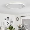 Audrieu Lámpara de Techo LED Blanca, 2 luces