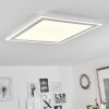 Audrieu Lámpara de Techo LED Blanca, 2 luces