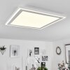 Audrieu Lámpara de Techo LED Blanca, 2 luces