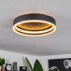 Guine Lámpara de Techo LED dorado, Negro, 1 luz