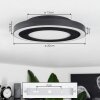 Audrieu Lámpara de Techo LED Negro, Blanca, 2 luces