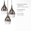Paul Neuhaus PILUA Lámpara Colgante Cromo, 3 luces