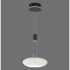 Paul Neuhaus Q-ETIENNE Lámpara Colgante LED Negro, 1 luz, Mando a distancia