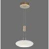 Paul Neuhaus Q-ETIENNE Lámpara Colgante LED Latón, 1 luz, Mando a distancia