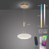 Paul Neuhaus Q-ETIENNE Lámpara Colgante LED Latón, 1 luz, Mando a distancia