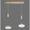 Paul Neuhaus Q-ETIENNE Lámpara Colgante LED Latón, 2 luces, Mando a distancia
