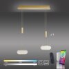 Paul Neuhaus Q-ETIENNE Lámpara Colgante LED Latón, 2 luces, Mando a distancia