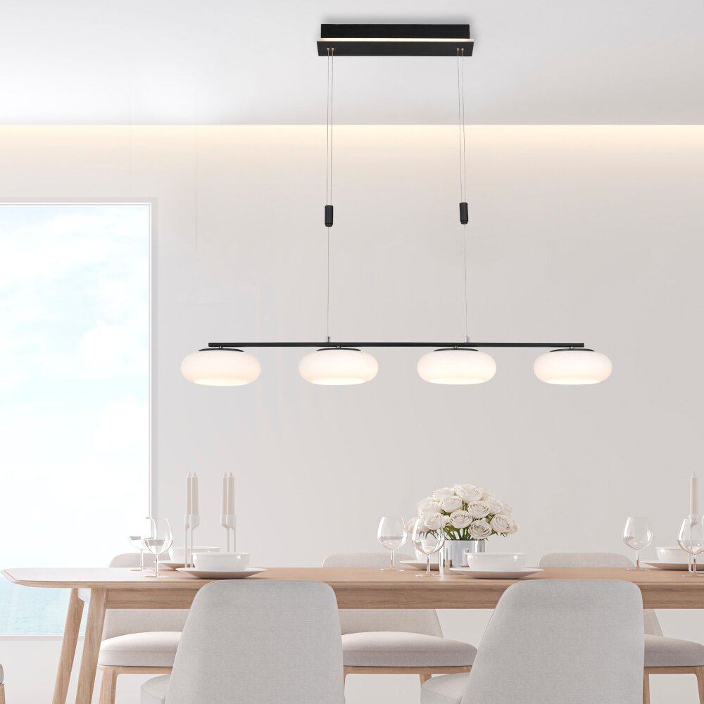 Paul Neuhaus Q-ETIENNE Lámpara Colgante LED Negro, 4 luces, Mando a distancia main product photo