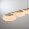 Paul Neuhaus Q-ETIENNE Lámpara Colgante LED Latón, 4 luces, Mando a distancia