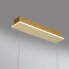 Paul Neuhaus Q-ETIENNE Lámpara Colgante LED Latón, 4 luces, Mando a distancia