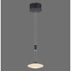 Paul Neuhaus LAUTADA Lámpara Colgante LED Negro, 1 luz