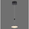 Paul Neuhaus LAUTADA Lámpara Colgante LED Negro, 1 luz
