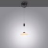 Paul Neuhaus LAUTADA Lámpara Colgante LED Negro, 1 luz