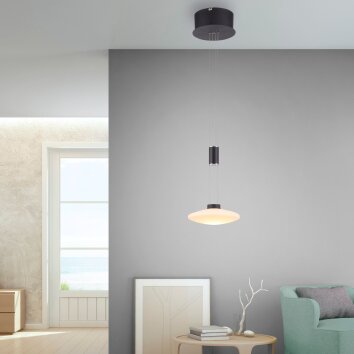 Paul Neuhaus LAUTADA Lámpara Colgante LED Negro, 1 luz