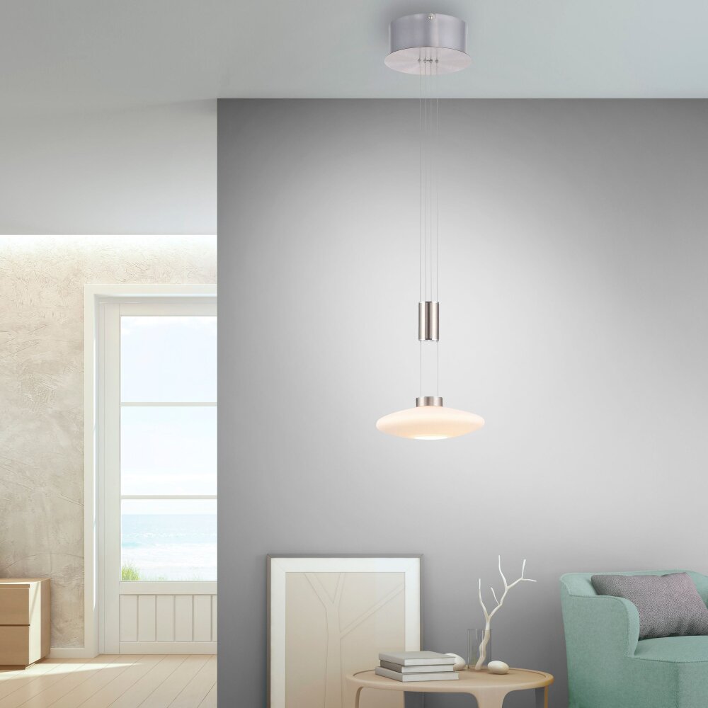 Paul Neuhaus LAUTADA Lámpara Colgante LED Acero bruñido, 1 luz main product photo