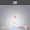 Paul Neuhaus LAUTADA Lámpara Colgante LED Acero bruñido, 1 luz